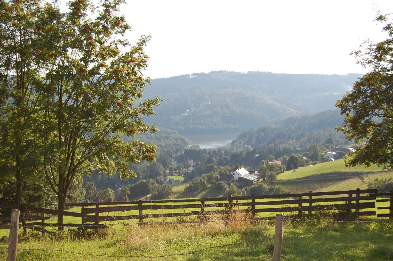Agroturystyka Jelenia ヴィスワ エクステリア 写真